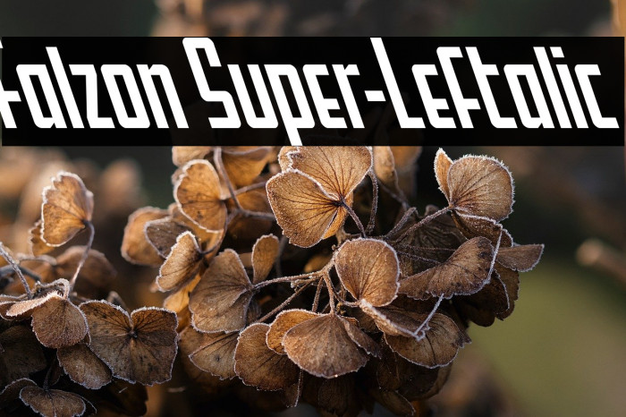 Falzon Super-Leftalic Example 1