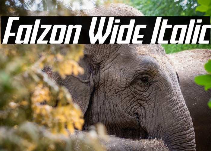 Falzon Wide Italic Example 2