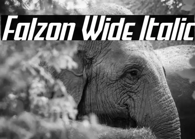 Falzon Wide Italic Font examples