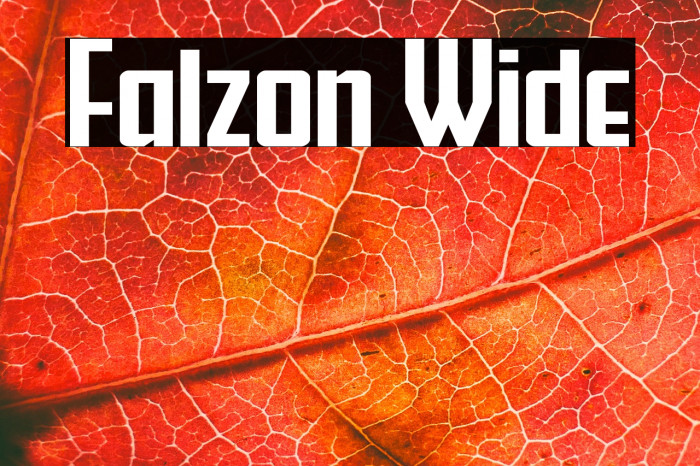 Falzon Wide Example 1
