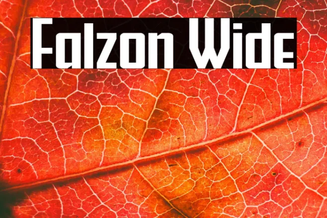 Falzon Wide Example 1