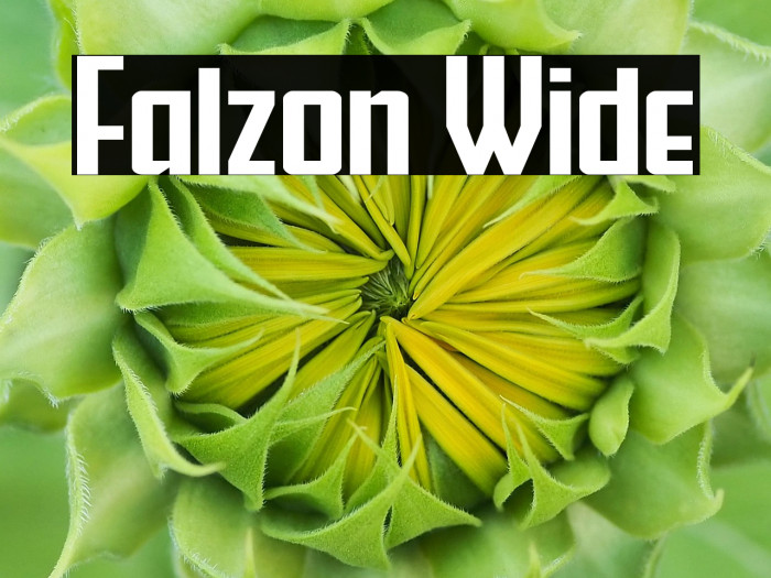 Falzon Wide Example 2