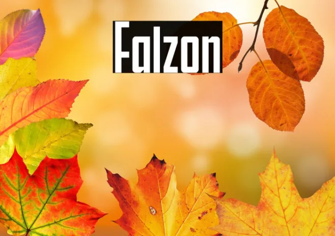 Falzon Example 2