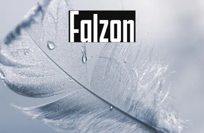 Falzon Example 3