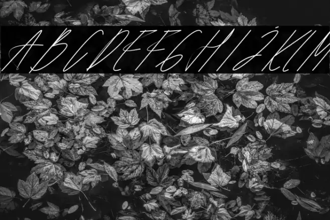 Famanthalio Font examples