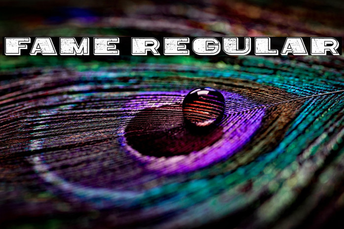 Fame Regular Example 1