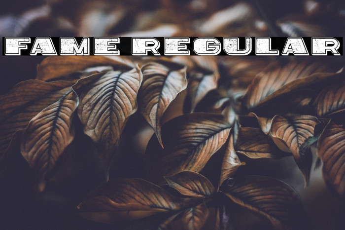 Fame Regular Example 3