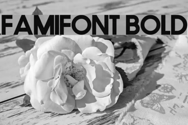 FamiFont Bold Font examples