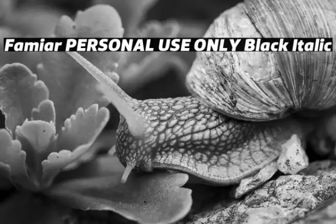 Famiar PERSONAL USE ONLY Black Italic Font examples