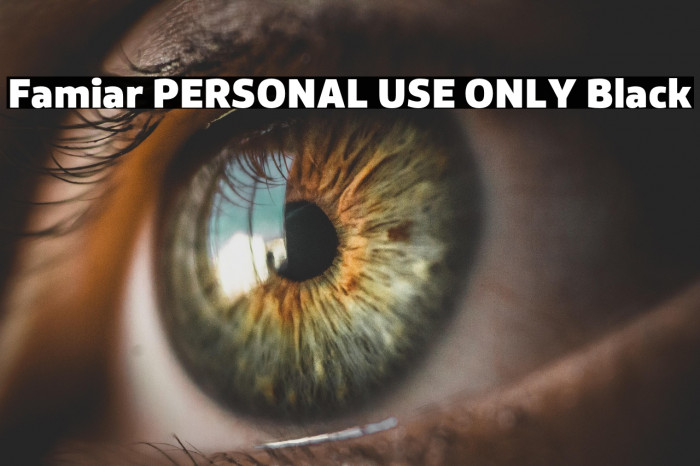 Famiar PERSONAL USE ONLY Black Example 1