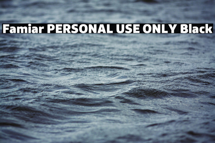 Famiar PERSONAL USE ONLY Black Example 3