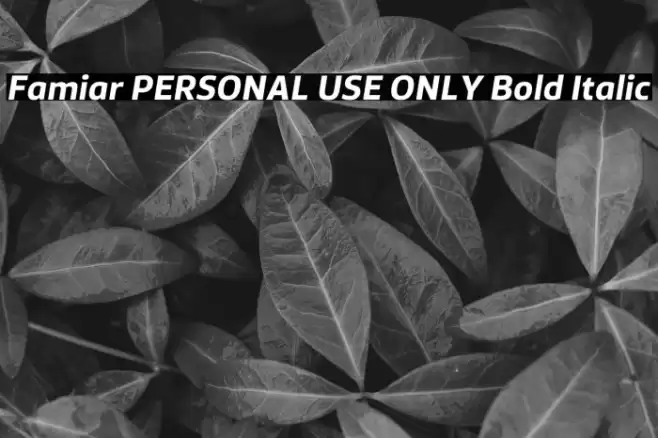 Famiar PERSONAL USE ONLY Bold Italic Font examples
