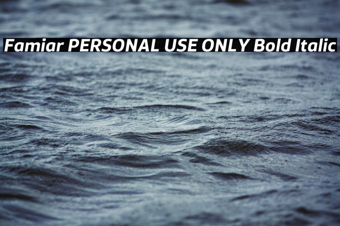 Famiar PERSONAL USE ONLY Bold Italic Example 3