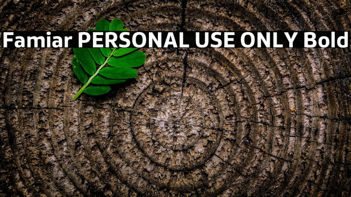Famiar PERSONAL USE ONLY Bold Example 2