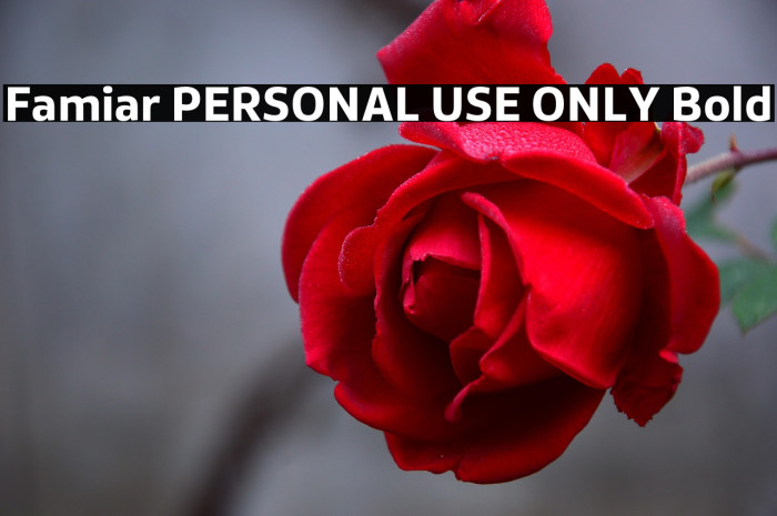 Famiar PERSONAL USE ONLY Bold Example 3