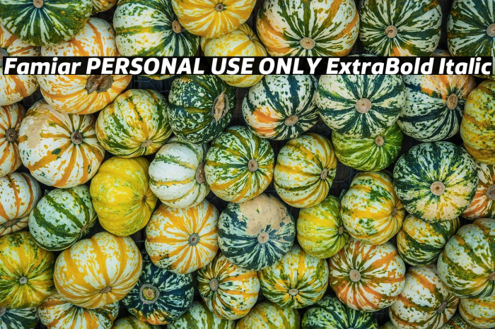 Famiar PERSONAL USE ONLY ExtraBold Italic Example 3
