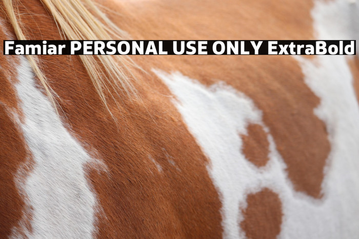 Famiar PERSONAL USE ONLY ExtraBold Example 1