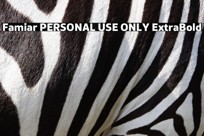 Famiar PERSONAL USE ONLY ExtraBold Example 3