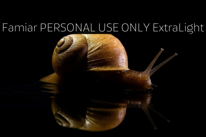 Famiar PERSONAL USE ONLY ExtraLight Example 1