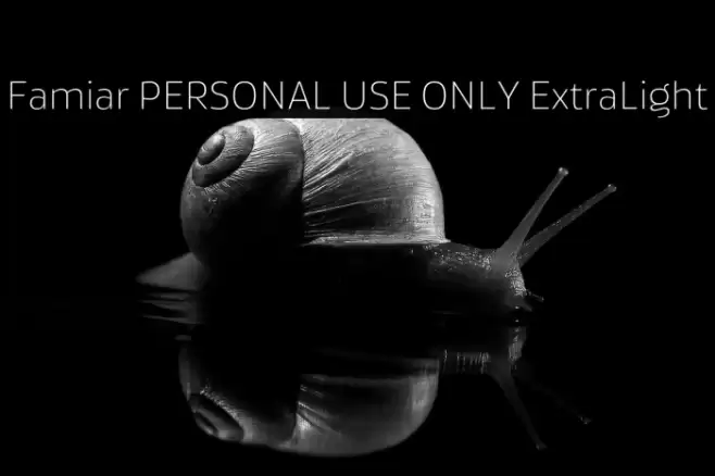 Famiar PERSONAL USE ONLY ExtraLight Font examples