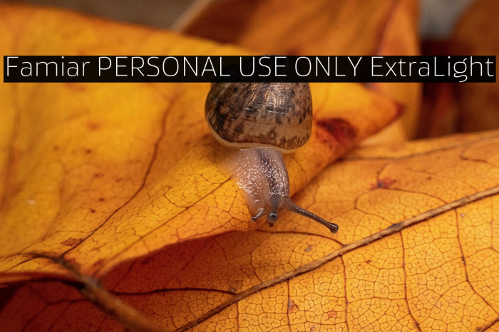 Famiar PERSONAL USE ONLY ExtraLight Example 2
