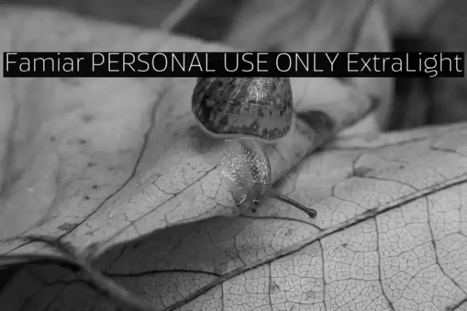 Famiar PERSONAL USE ONLY ExtraLight Font examples