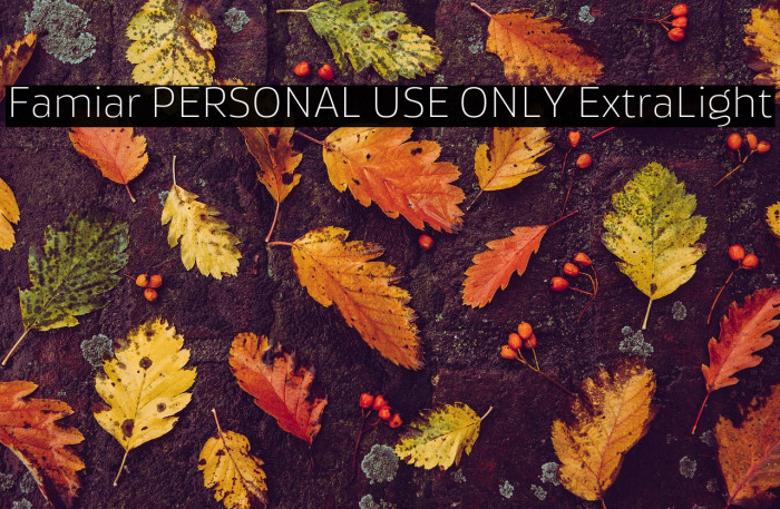 Famiar PERSONAL USE ONLY ExtraLight Example 3