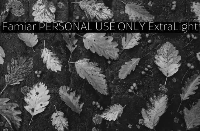 Famiar PERSONAL USE ONLY ExtraLight Font examples