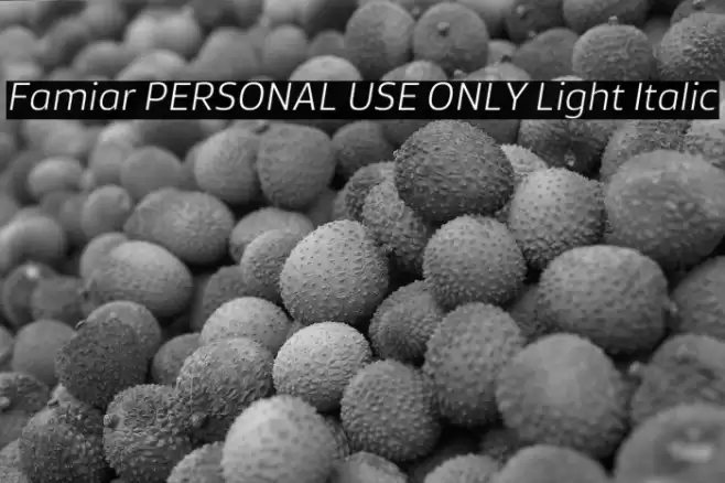 Famiar PERSONAL USE ONLY Light Italic Font examples