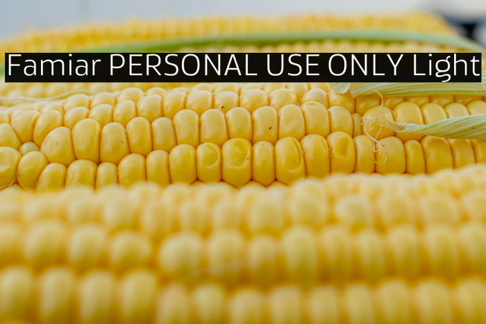 Famiar PERSONAL USE ONLY Light Example 1