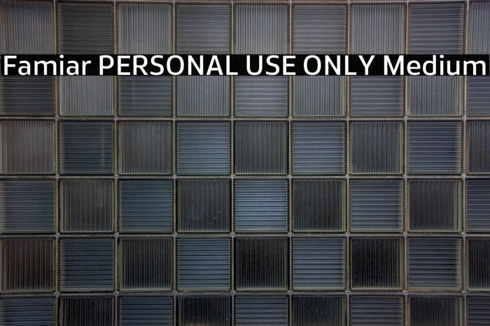 Famiar PERSONAL USE ONLY Medium Example 1