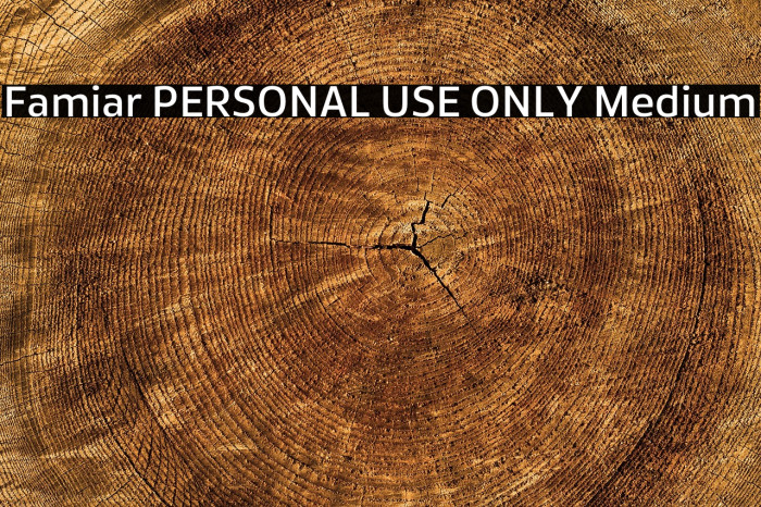 Famiar PERSONAL USE ONLY Medium Example 3