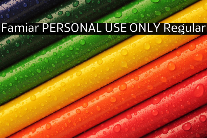 Famiar PERSONAL USE ONLY Regular Example 1