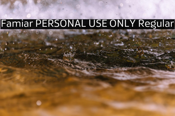 Famiar PERSONAL USE ONLY Regular Example 2