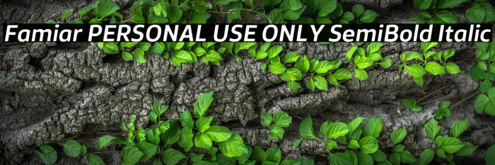 Famiar PERSONAL USE ONLY SemiBold Italic Example 2