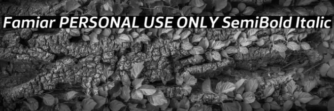 Famiar PERSONAL USE ONLY SemiBold Italic Font examples