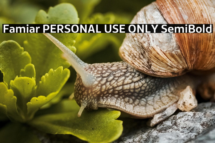 Famiar PERSONAL USE ONLY SemiBold Example 2