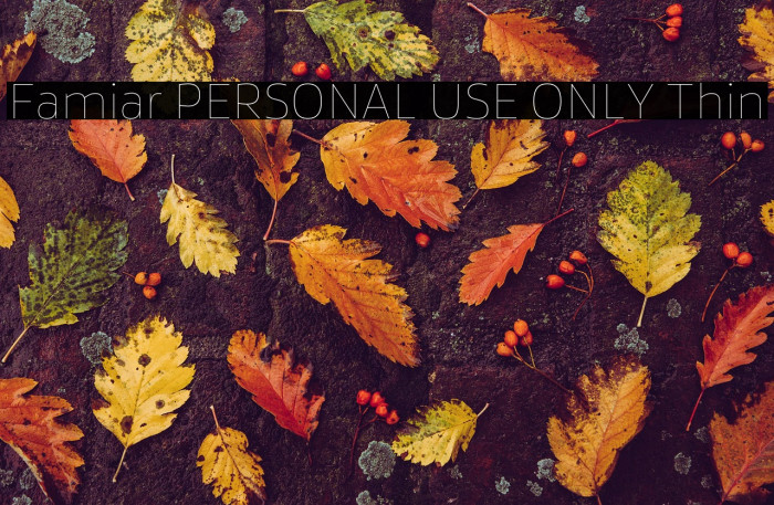 Famiar PERSONAL USE ONLY Thin Example 1