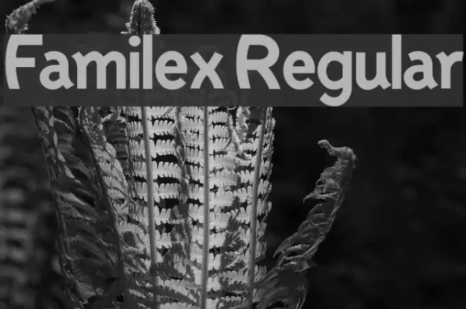 Familex Regular Font examples