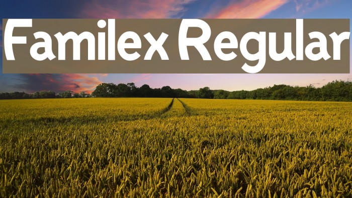 Familex Regular Example 3