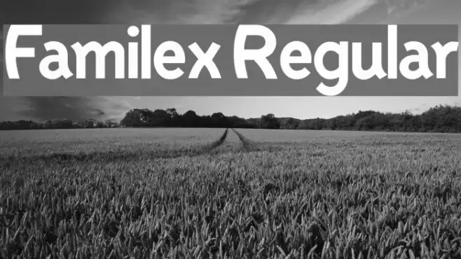 Familex Regular Font examples