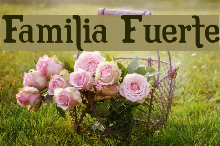 Familia Fuerte Fuentes examples