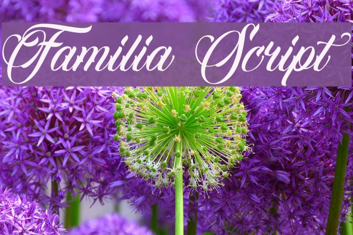 Familia Script Font examples