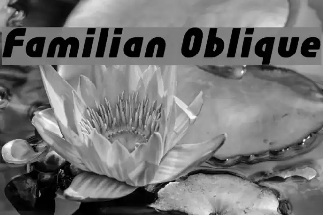 Familian Oblique Font examples