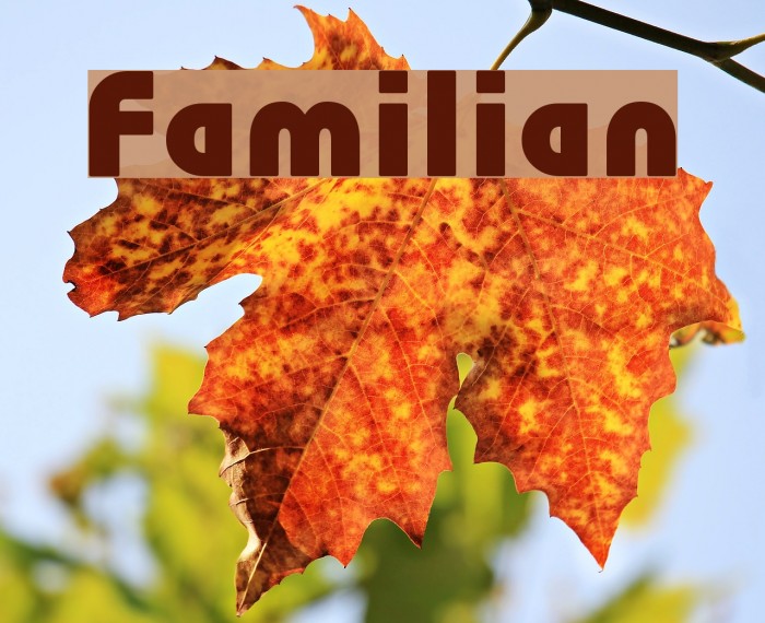 Familian Font examples