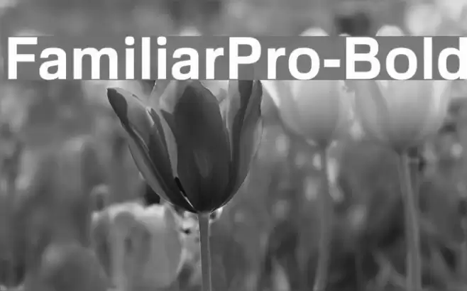 FamiliarPro-Bold フォント examples