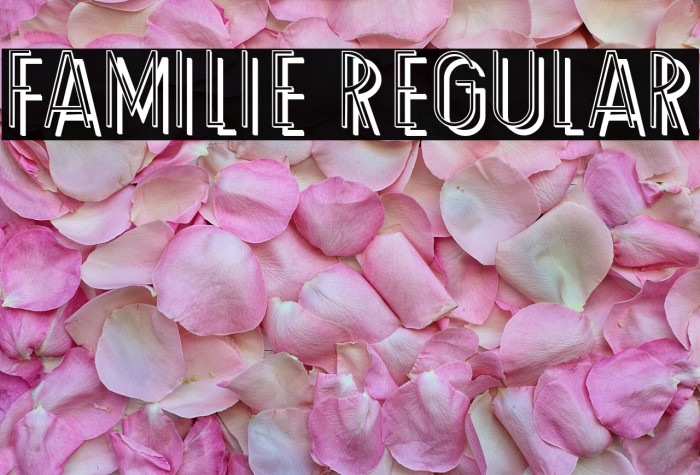 Familie Regular Example 1