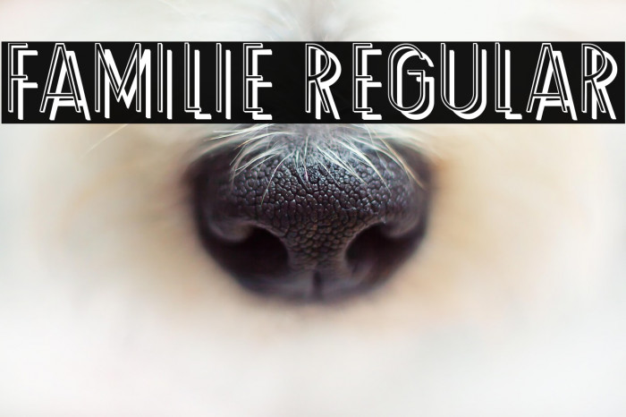 Familie Regular Example 3