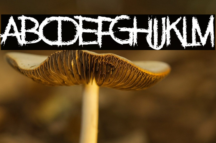 Family Annihilator Example 1