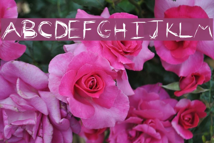 Family Bonding Font examples